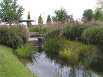 FREIRAUM Garten- und Landschaftsbau - Pflasterarbeiten, Natursteinarbeiten, Pflanzungen in Berlin und Brandenburg